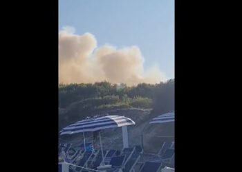 Incendio Laghi Alimini, da video