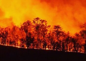 Incendio Sardegna (foto: Instagram di Simona Ventura)