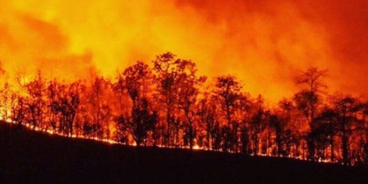 Incendio Sardegna (foto: Instagram di Simona Ventura)