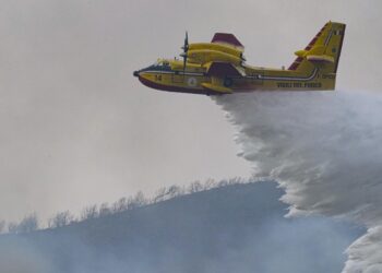 Canadair a lavoro (Foto: LaPresse)