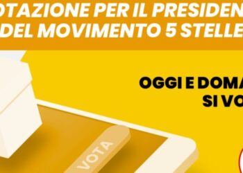 Presidente M5s