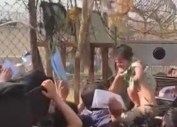 Il dramma dei bambini lanciati oltre il filo spinato in Afghanistan (foto: screen da video Twitter)