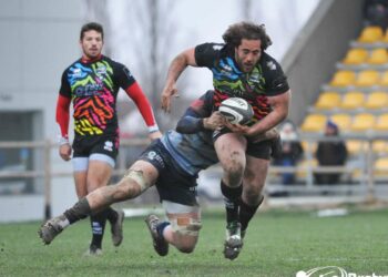 Zebre rugby