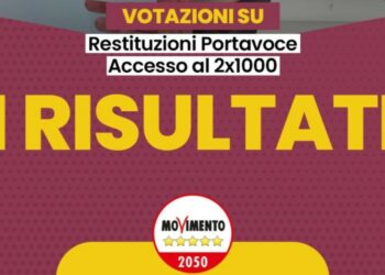 Voto M5s, i risultati