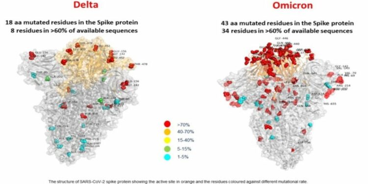 Variante Delta e variante Omicron a confronto (Foto dell'area di ricerca del Bambino Gesù)