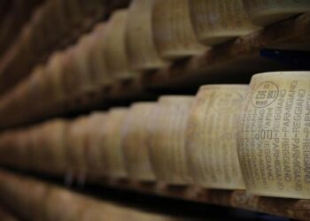 Parmigiano Reggiano (LaPresse)