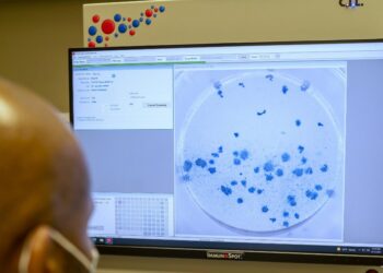 Covid, analisi su variante Omicron