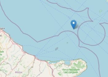 Terremoto nel mare Adriatico (Ingv, 25 dicembre 2021)