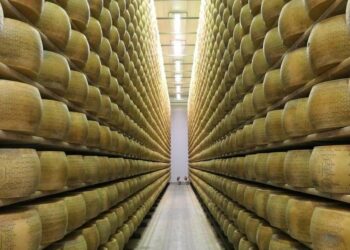 Forme di Grana Padano (Pixabay)