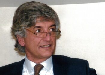 Sandro Santamaria, Ceo di Roboteco Italargon