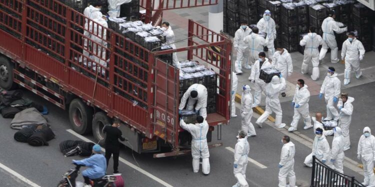 Lockdown a Shanghai (Foto: 2022, LaPresse)