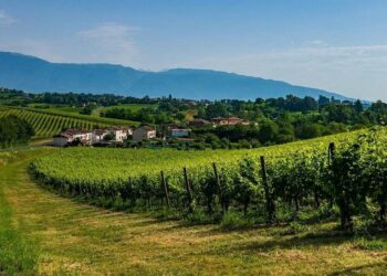 Le colline del Prosecco (Pixabay)