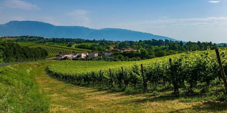 Le colline del Prosecco (Pixabay)