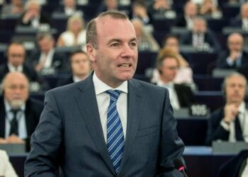 Manfred Weber (LaPresse)