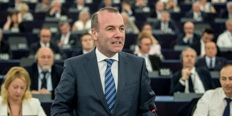 Manfred Weber (LaPresse)