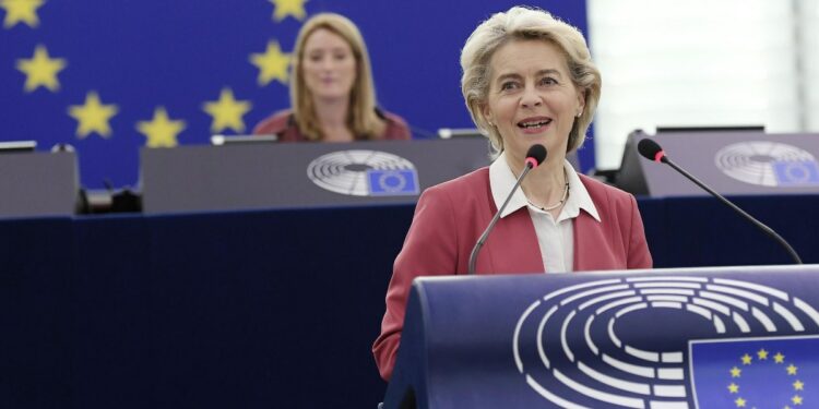 Von der Leyen, Parlamento Ue