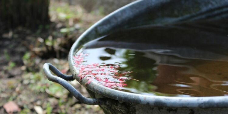 Acqua piovana (foto da Pixabay)