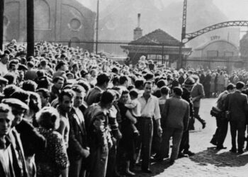 Famiglie di minatori A Marcinelle il giorno della tragedia, 8 agosto 1956 (LaPresse)