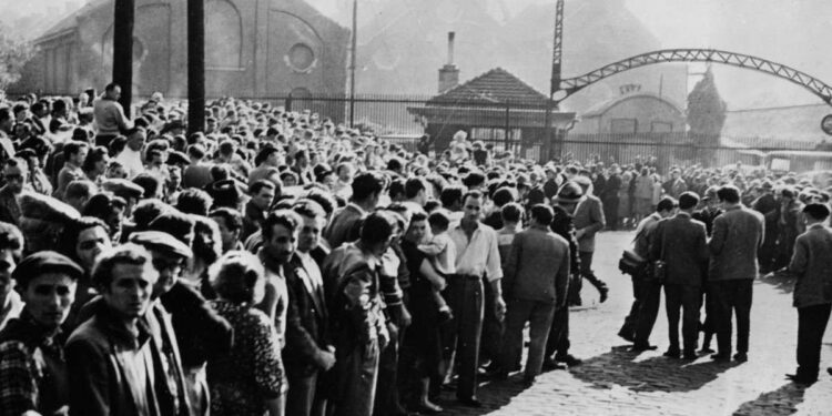 Famiglie di minatori A Marcinelle il giorno della tragedia, 8 agosto 1956 (LaPresse)