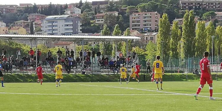 diretta frosinone primavera