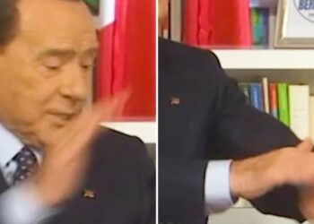 Berlusconi ammazza una mosca su TikTok