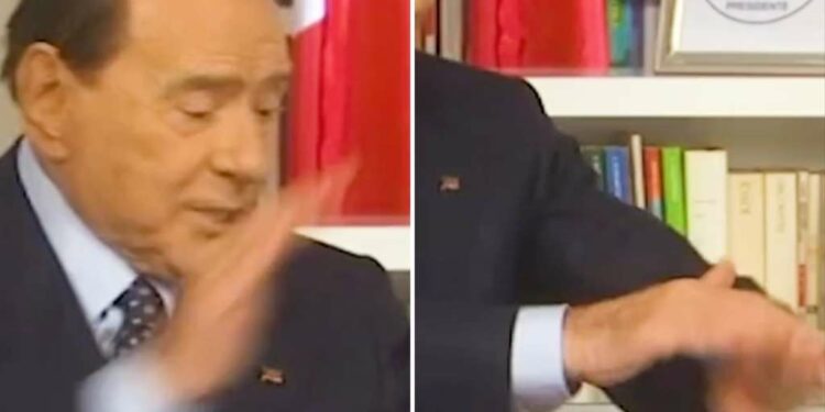 Berlusconi ammazza una mosca su TikTok