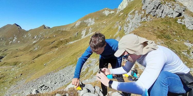 Studenti al lavoro sul terreno presso il passo di Valfredda