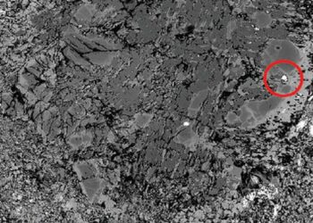 Immagine al microscopio SEM di un frammento della meteorite Khatyrka; nel cerchio rosso un frammento di lega a rame e alluminio.