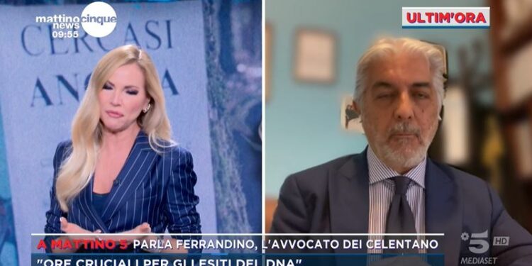 L'avvocato di Angela Celentano a Mattino Cinque