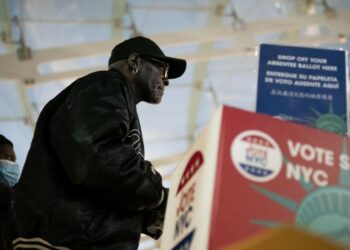 America al voto di midterm (LaPresse)