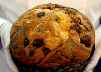 Un panettone artigianale