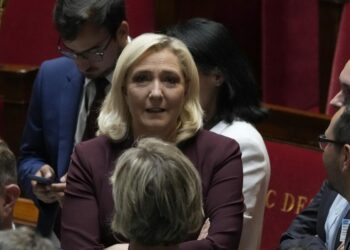 Marine Le Pen, Assemblea