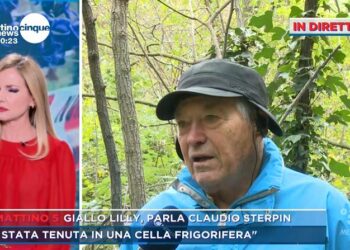 Claudio Sterpin su Liliana Resinovjch a Mattino 5