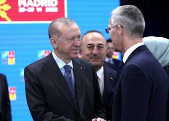 Recep Tayyip Erdogan con il segretario generale della Nato Jens Stoltenberg (LaPresse)