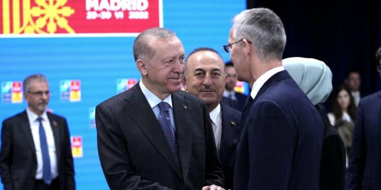 Recep Tayyip Erdogan con il segretario generale della Nato Jens Stoltenberg (LaPresse)