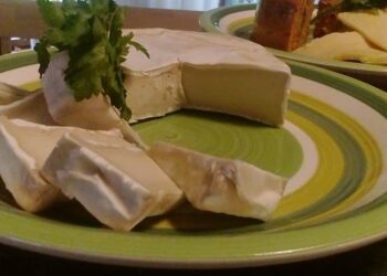 Formaggio vegano a base di anacardi e mandorle