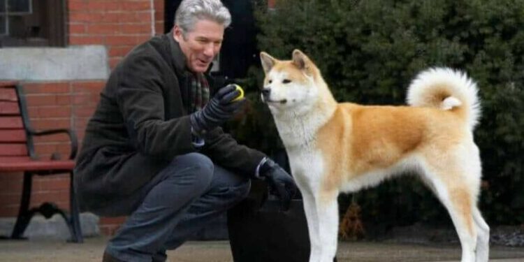 Hachiko il tuo migliore amico