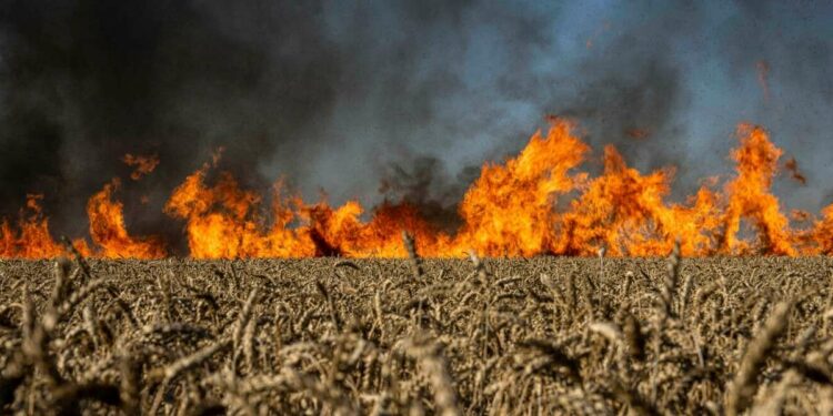 Campi di grano in fiamme dopo un bombardamento a Kharkiv, Ucraina (LaPresse)