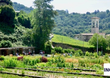 I terreni dell’Orto Botanico di Bergamo ad Astino