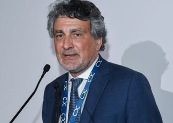 Stefano Distilli, Presidente di Cassa Dottori Commercialisti