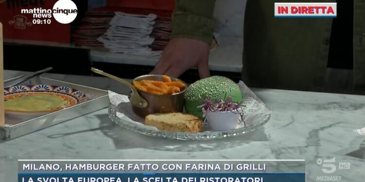 Il primo hamburger di Grilli a Milano (Mattino5)