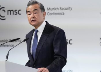 Wang yi, Cina