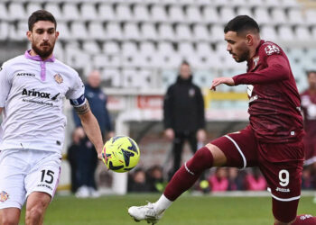 Diretta Verona Torino, Serie A 35^ giornata (Foto LaPresse)