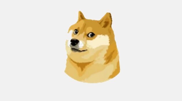 Il cane di Twitter, Dogecoin