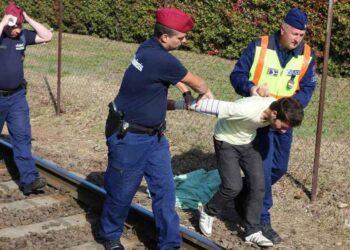 Flusso di migranti al confine fra Ungheria e Austria (Foto: LaPresse)