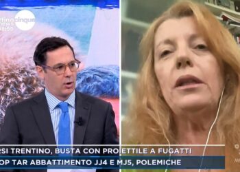 L'onorevole Brambilla a Mattino 5 News