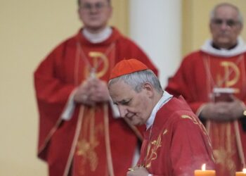 Il card. Matteo Zuppi mentre celebrala Messa nella Cattedrale di Mosca (LaPresse)